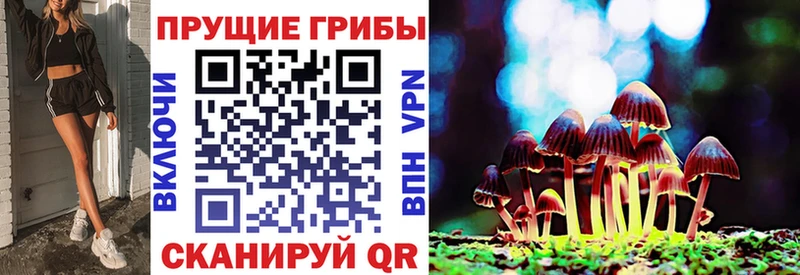 Псилоцибиновые грибы GOLDEN TEACHER Карпинск