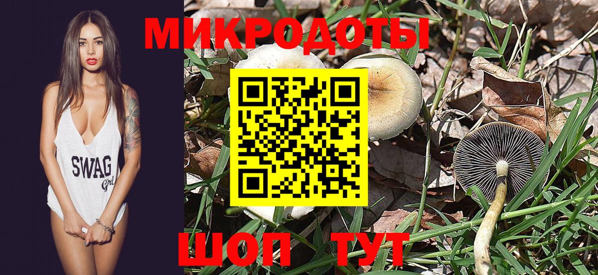 Карпинск  Псилоцибиновые грибы MAGIC MUSHROOMS  Вход с VPN 