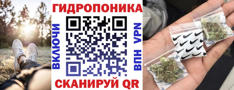 купить наркоту  Карпинск  Конопля планчик 